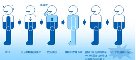 水與人體健康小知識 你的身體缺水嗎？